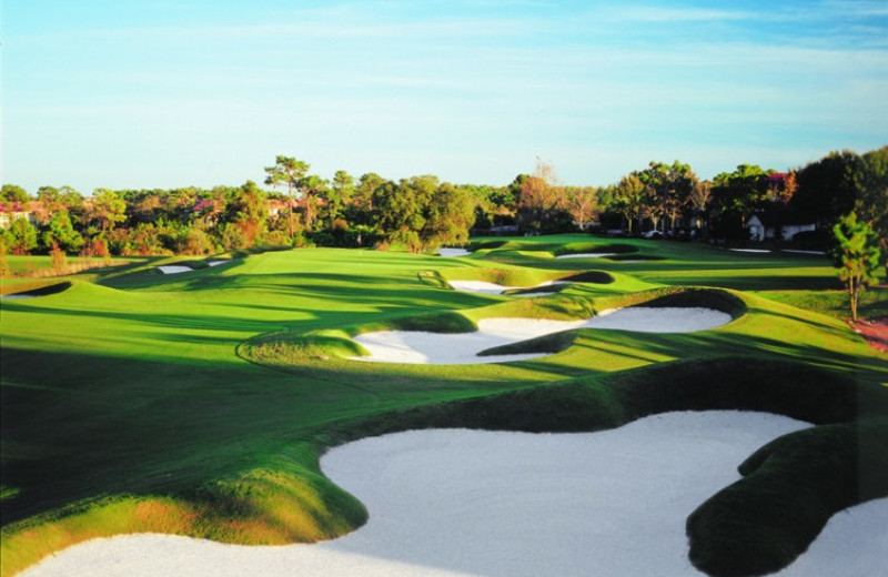 Golf course near Florida Paradise Villas.