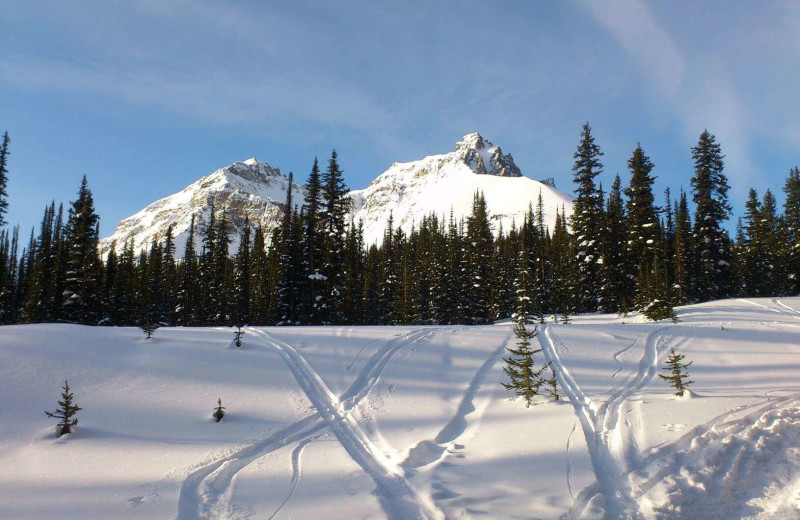 Skiing at Expanse Cottages.