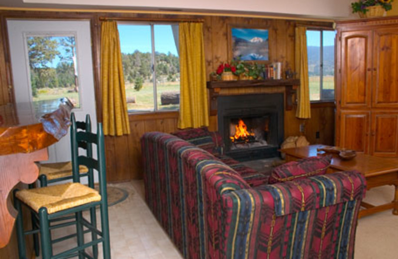 Chalet interior at Inn Der Bach.