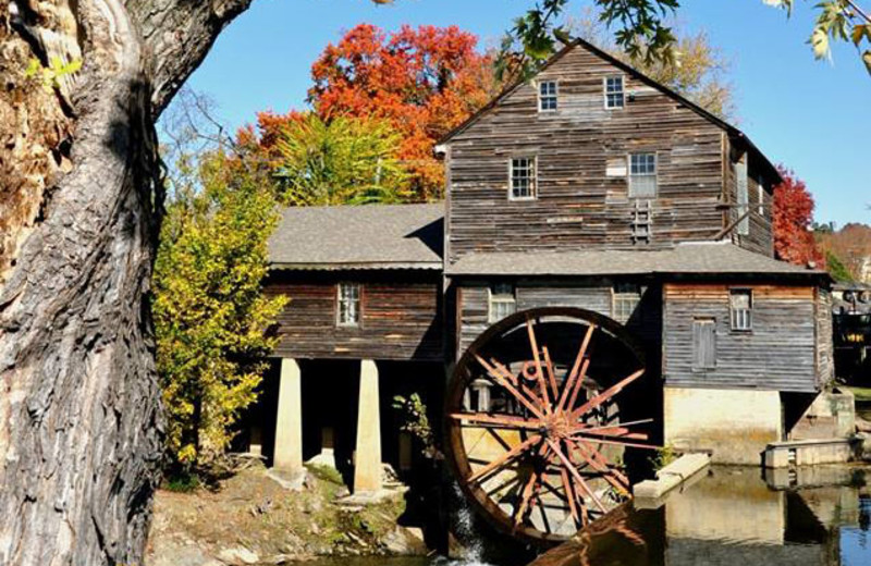 Old Mill near Alpine Mountain Chalets.