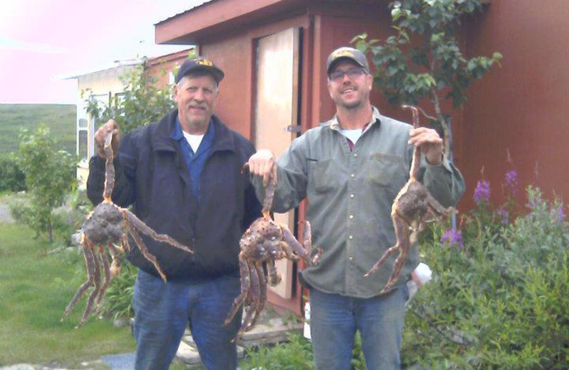 King Crabs at AkAu Alaska Gold & Resort.