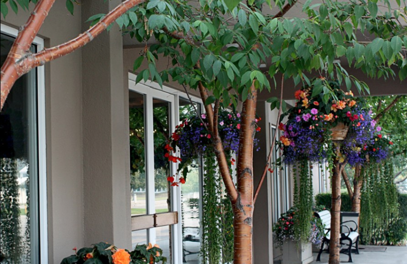 Front entrance to Bear Lodge.