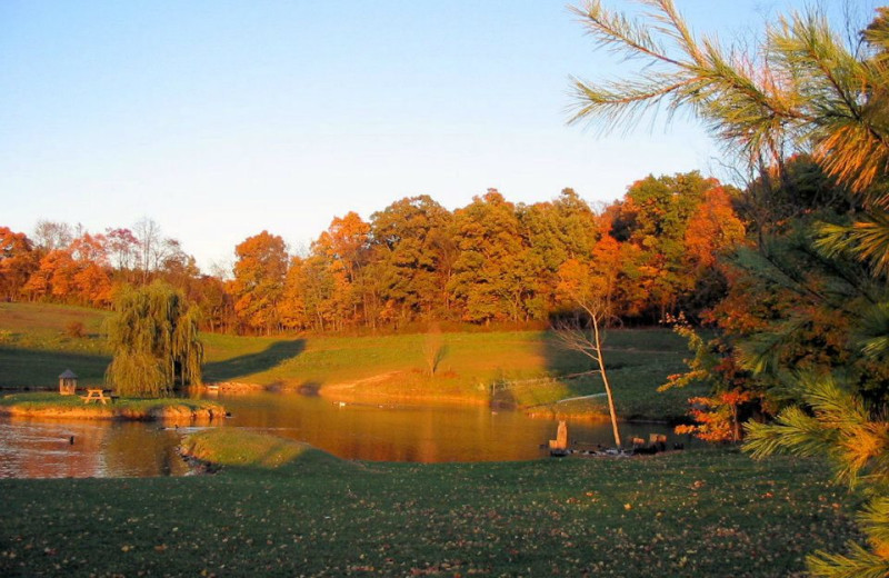 Pond at Guggisberg Swiss Inn/Amish Country Riding Stables.