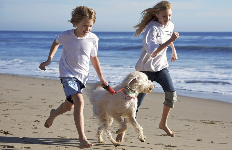 Pets welcome at Tolovana Inn.