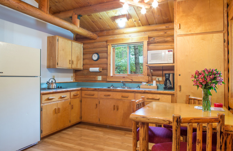 Cabin kitchen at North Forty Resort.