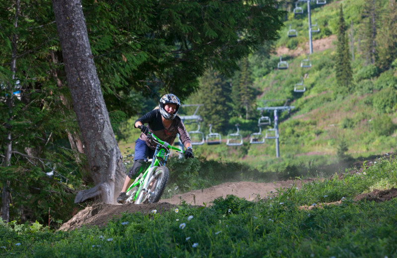 Biking at Red Tree Lodge.