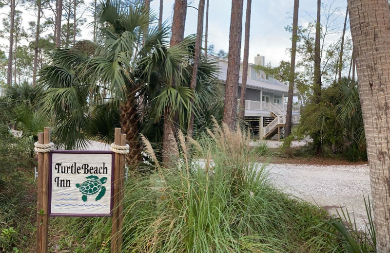 Exterior view of Turtle Beach Inn.