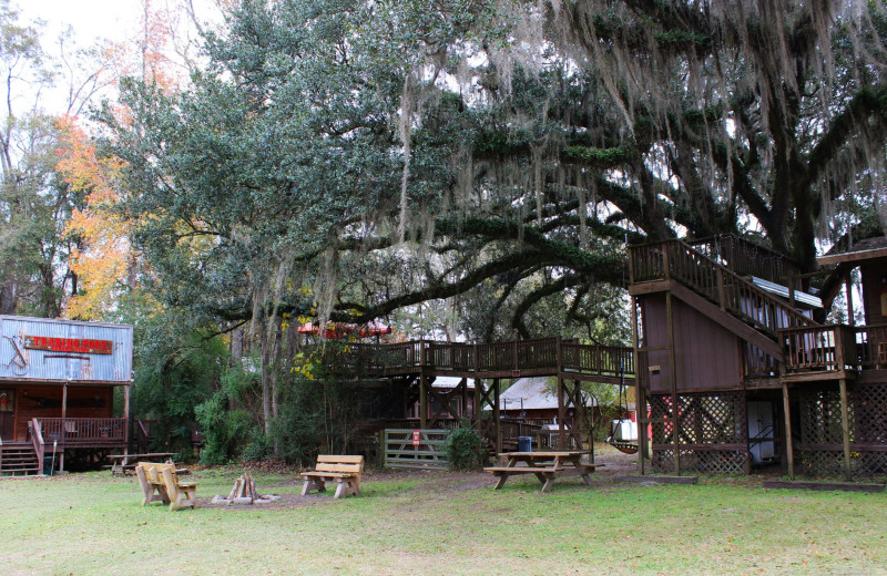 Exterior view of Berry Creek Cabins.