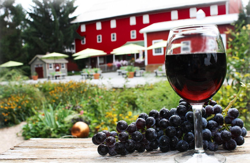 Winery near The Lodges at Gettysburg.