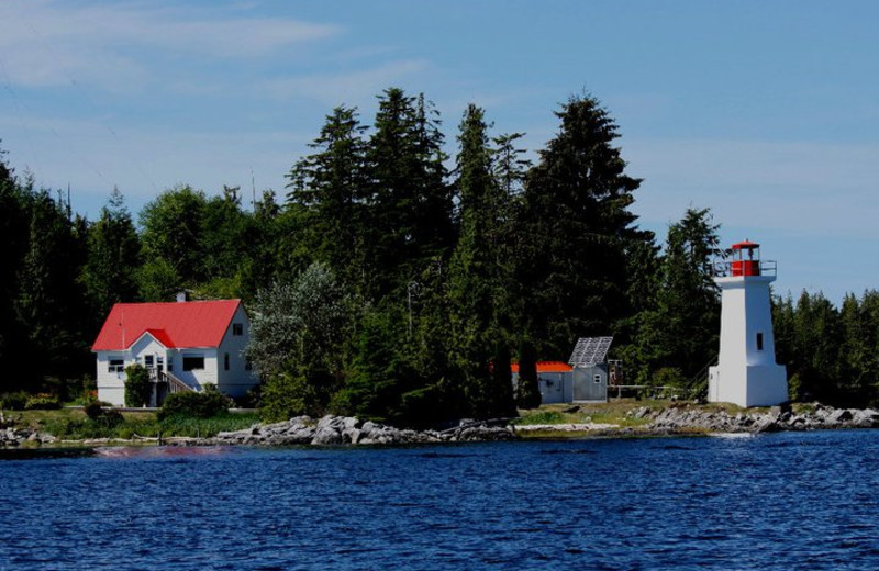 The local area a tShearwater Resort & Marina.