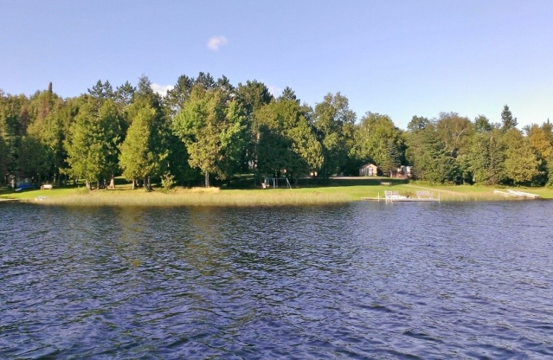 Exterior view of Wild Wood Haven Resort.