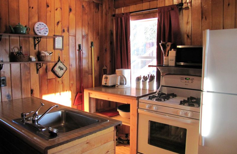 Cabin kitchen at Big Bear Lodge and Cabins.