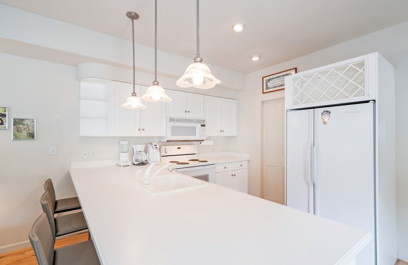 Rental kitchen at Accommodations in Telluride.
