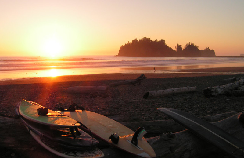 Beach near Olympic Foothills Lodge.