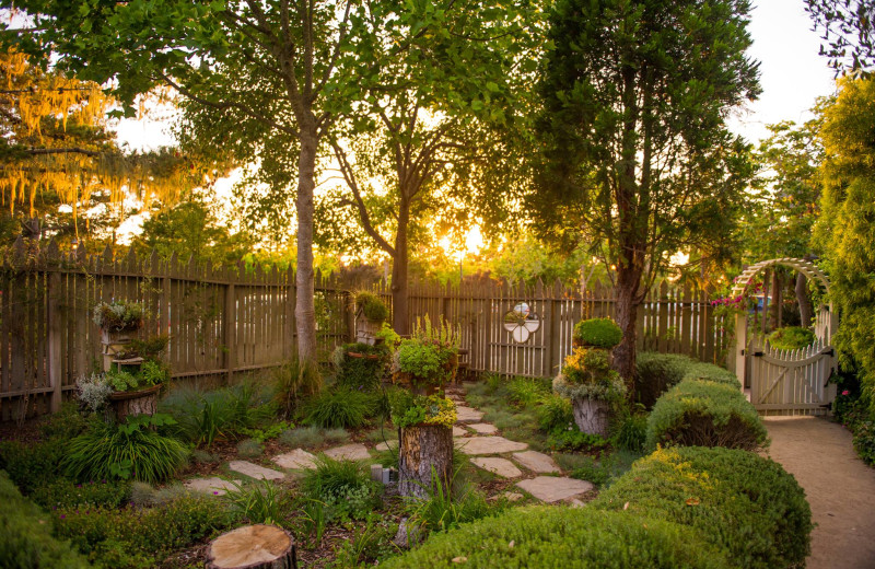 Garden view at Cambria Pines Lodge.