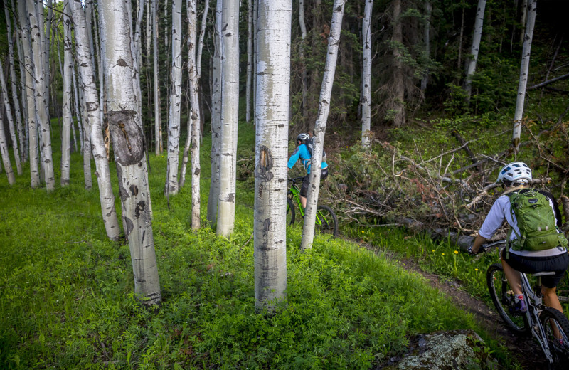 Biking at Mountain Lodge Telluride.