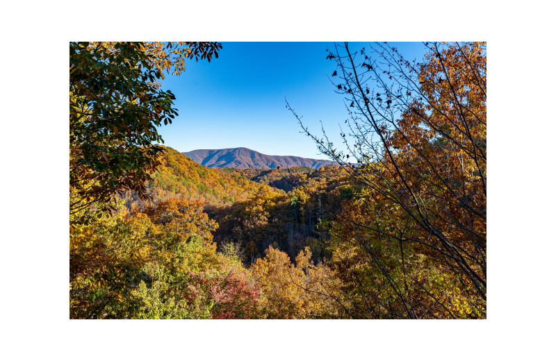 View from American Patriot Getaways - Absolutely Fabulous.