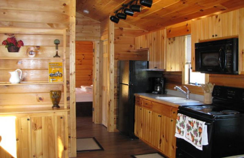 Cabin kitchen at Copperhead Lodge.