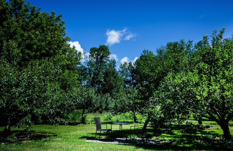 Grounds at Strathmere Retreat & Spa.