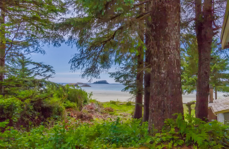 Beach view at MacKenzie Beach Resort.