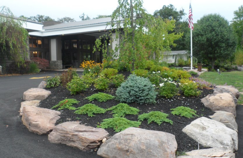 Rain garden at The Sullivan.