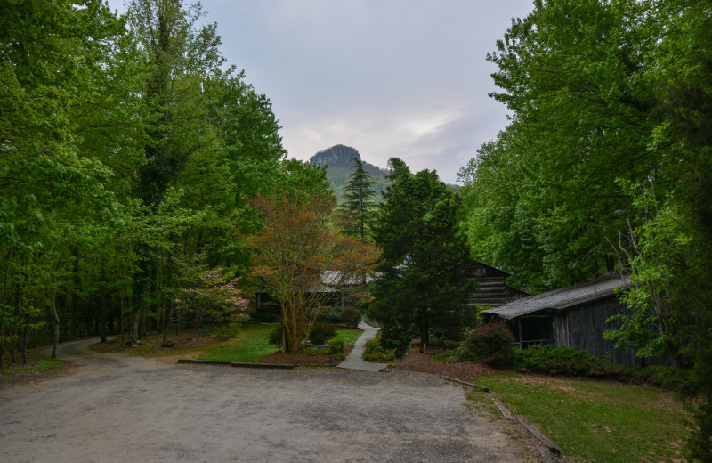 Exterior view of Pilot Knob Inn Bed & Breakfast.