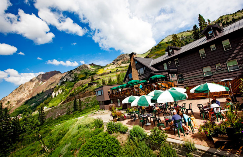 Alta Lodge (Alta, UT) Resort Reviews