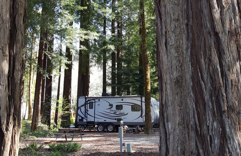 RV camping at Giant Redwoods RV Park & Camp.
