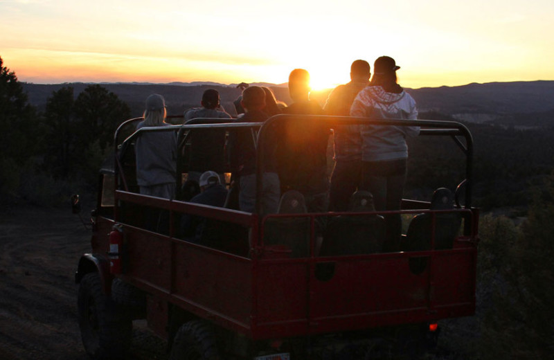 Wagon ride at Zion Ponderosa Ranch Resort.