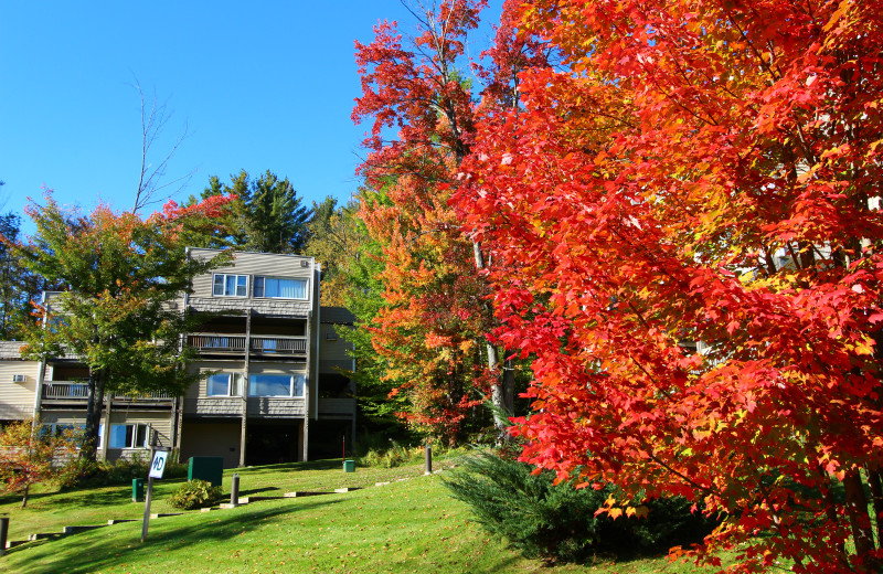 Exterior View Mountainside at Stowe