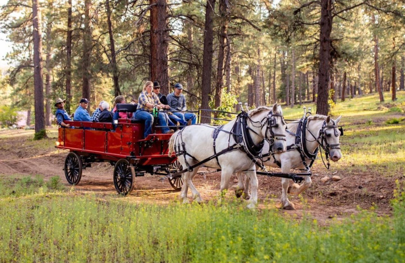 Wagon ride at Colorado Trails Ranch.