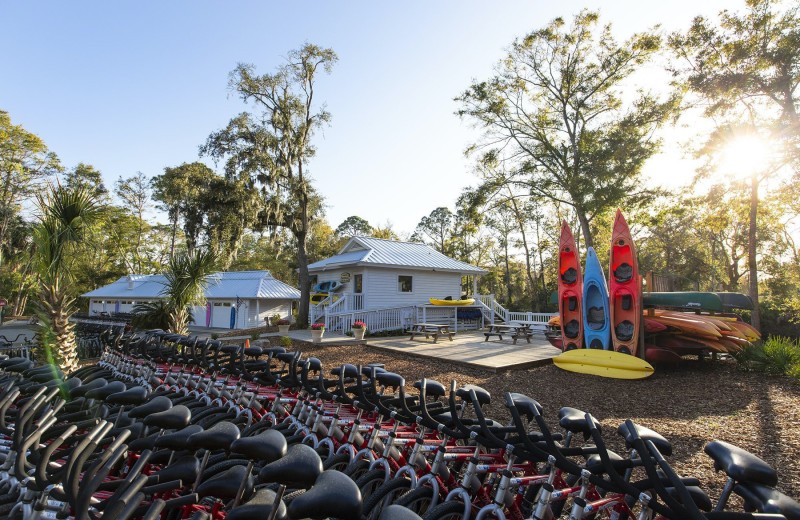 Recreation at Palmetto Dunes Oceanfront Resort.