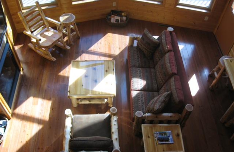 Beautiful view of the meadow and Cedar River with a gas fireplace, large deck and gas grill.