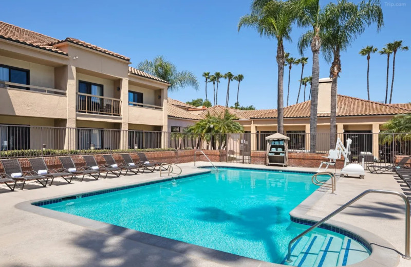 Outdoor pool at Courtyard by Marriott Anaheim Buena Park.