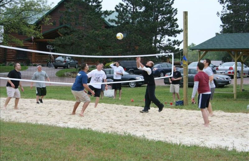 Volleyball court at Deer Haven Acres.