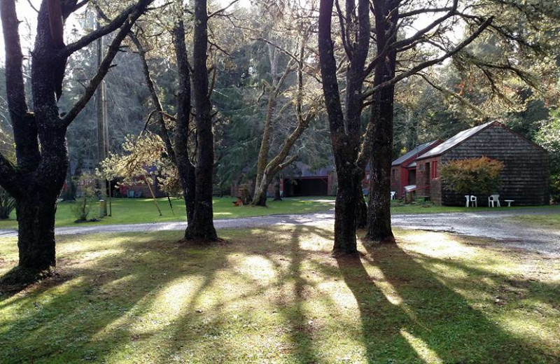 Exterior view of Shakti Cove Cottages.