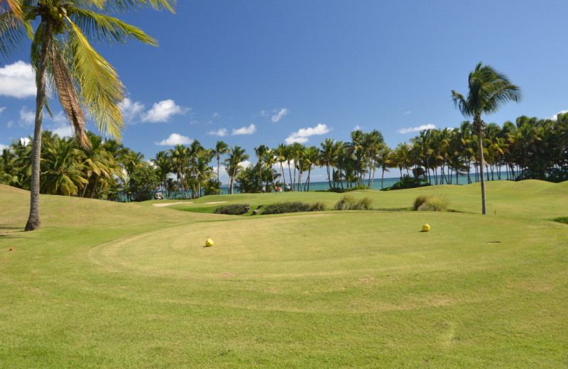 Golf course at The Plaza Suites.