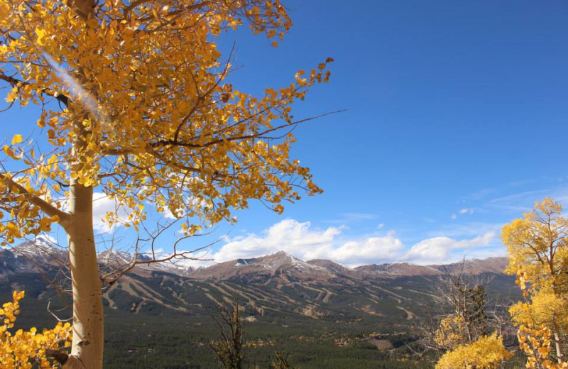 Fall colors at Breckenridge Discount Lodging.