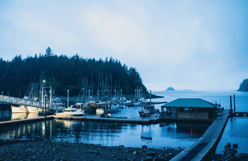 Marina at Elfin Cove Resort.