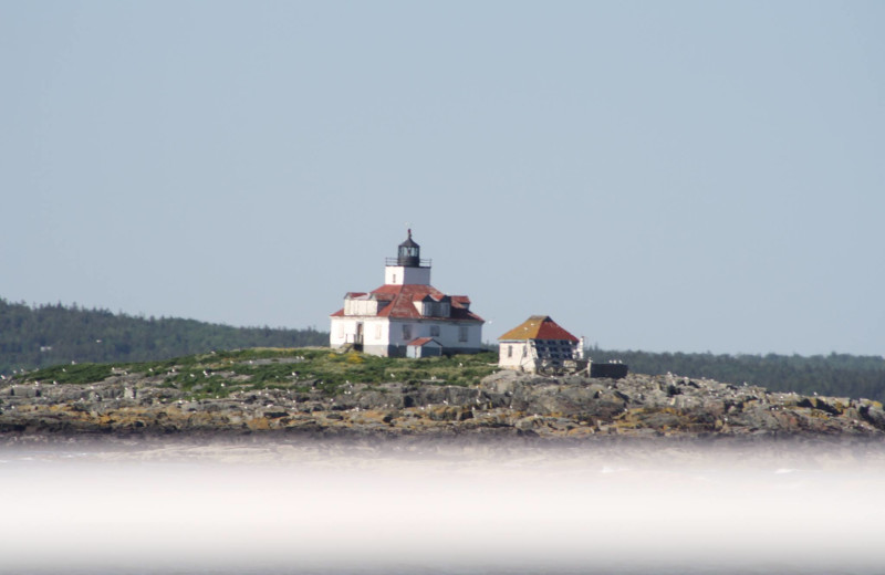 View from Acadian Nature Cruise near Aurora Inn & Motel.