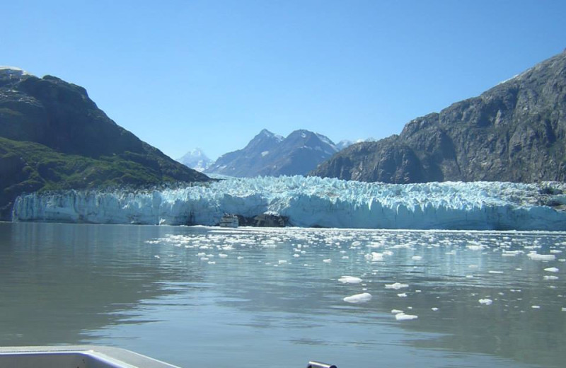 Glacier near Elfin Cove Resort.