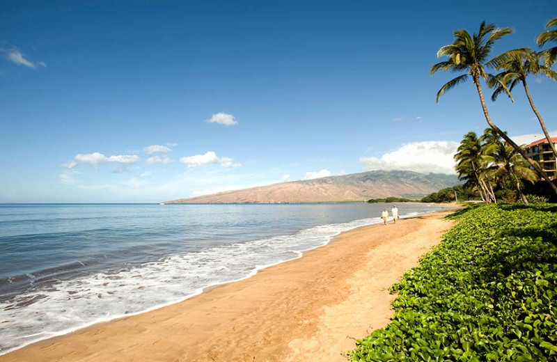 The beach at Sugar Beach Resort.