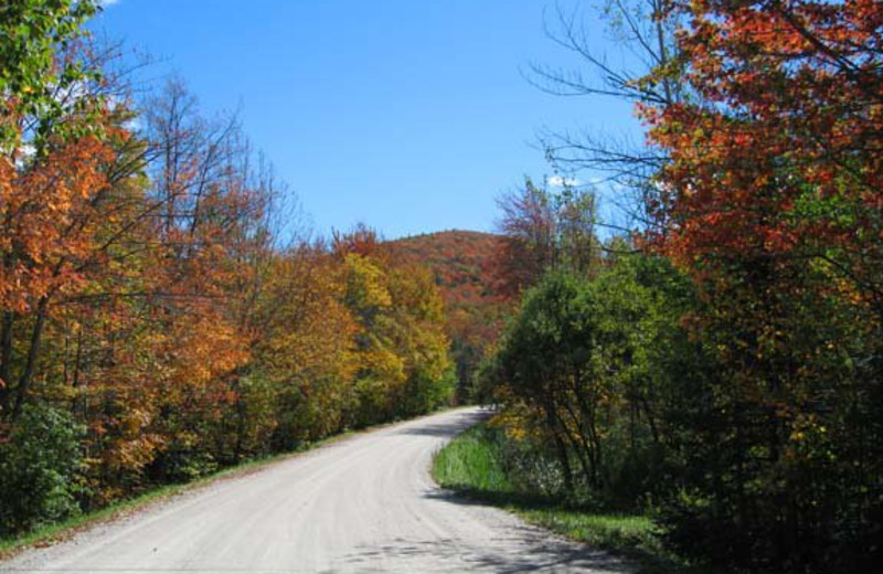 Fall colors at Birch Ridge Inn.