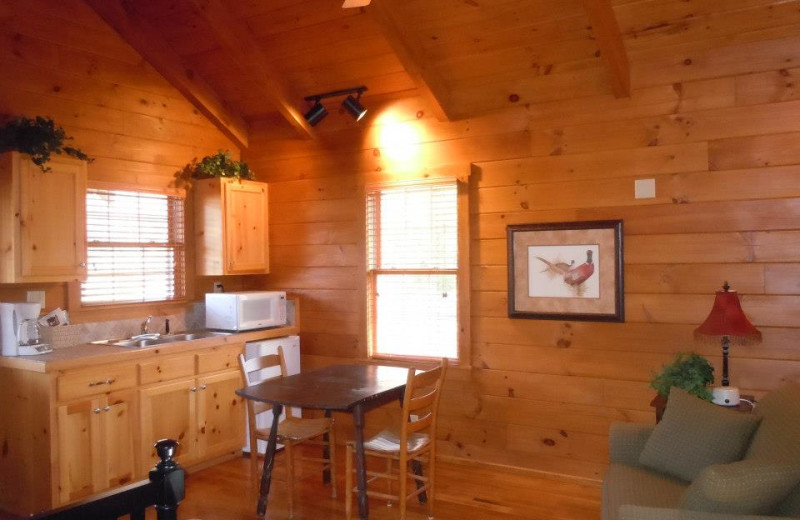 Trail's End cabin kitchen and dining area at New River Trail Cabins.