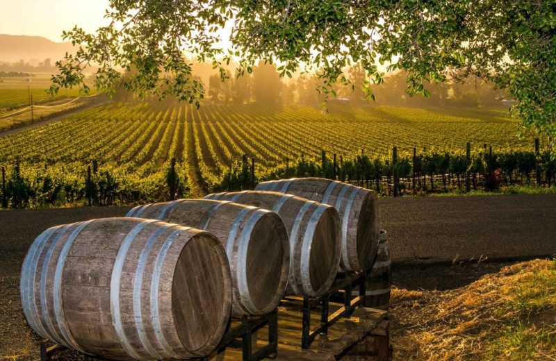 Wineries near Best Western Sonoma Valley Inn & Krug Event Center.