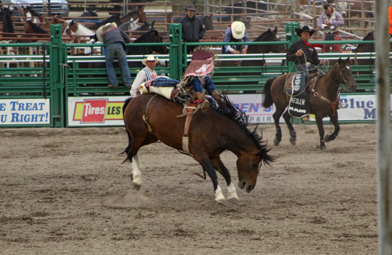 Rodeo at Bear Creek Ranch.