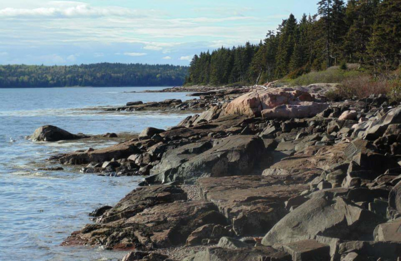 Shoreline at Vacation Cottages.