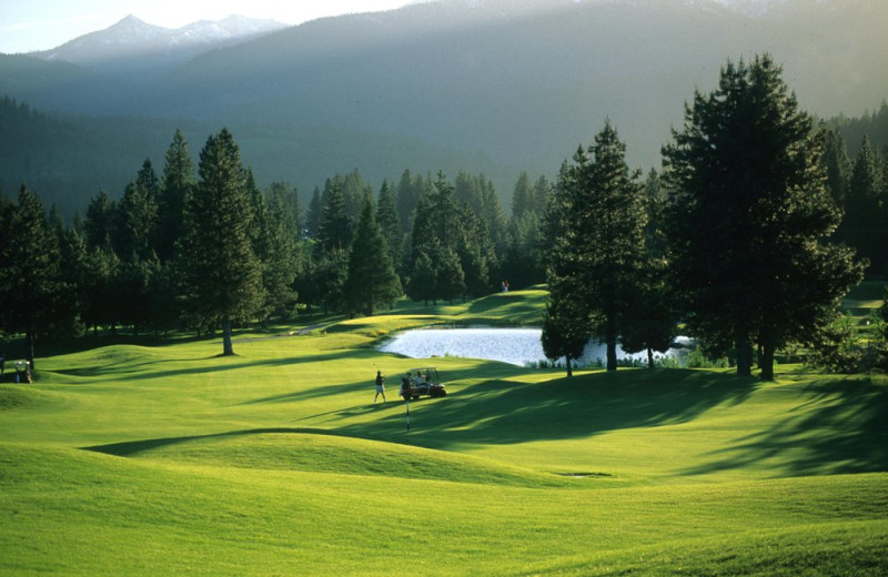 Golf course at Mount Shasta Resort.