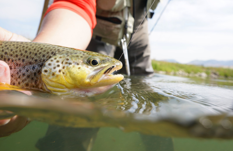 Fishing near Moonlight Vacation Rentals.