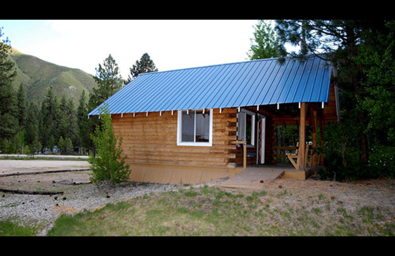 Cabin view at Sourdough Lodge.